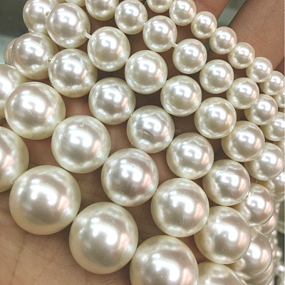 Shell Pearl Beads Strands BSHE-E008-14mm-12-1