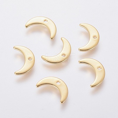 304 Stainless Steel Charms STAS-L234-073G-1