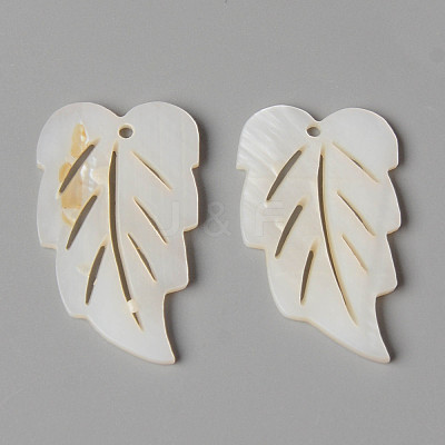 Natural Freshwater Shell Pendants SHEL-N026-81-1