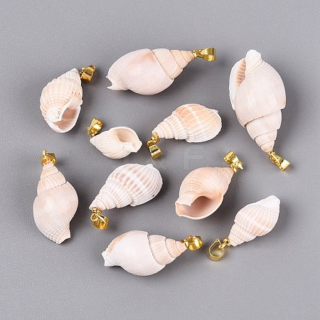 Brass & Natural Spiral Shell Pendants SHEL-Q029-18KCG-1