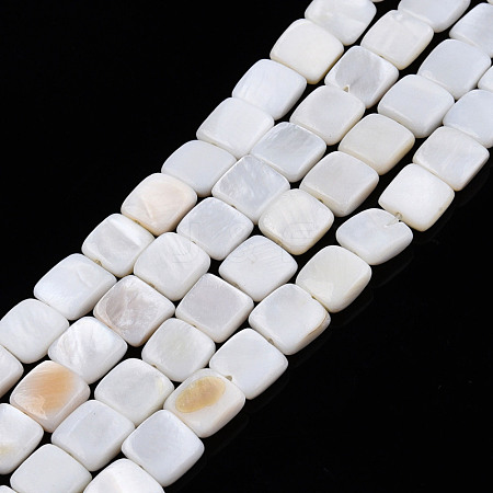Natural Freshwater Shell Beads Strands SHEL-N026-209-1
