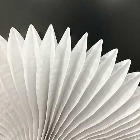 Paper Fan AJEW-WH0005-20cm-01-1