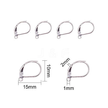 304 Stainless Steel Leverback Earring Findings STAS-L190-14S-1