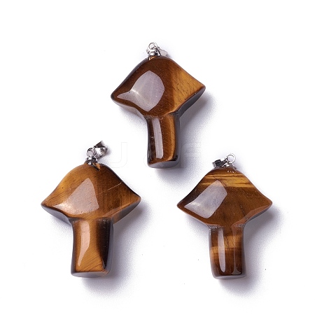 Natural Tiger Eye Pendants G-B035-01C-1