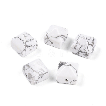 Natural Howlite Beads G-N345-02A-09-1
