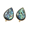 304 Stainless Steel Pave Natural Paua Shell Stud Earring Findings STAS-Z125-06G-2