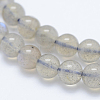 Natural Labradorite Beads Strands G-J373-14-4mm-2