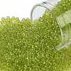TOHO Round Seed Beads SEED-TR11-0004-1