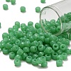 TOHO 3/0 Round Beads SEED-XTR03-0156-1