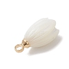 Natural Trochus Shell Tulip Flower Charms PALLOY-JF04860-4