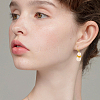 60Pcs Brass Earring Hooks FIND-SC0020-36-7