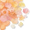 50G Transparent Acrylic Beads OACR-YW0002-44D-1