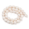 Natural Cultured Freshwater Pearl Beads Strands PEAR-P064-20K-05A-3