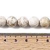 Natural Magnesite Beads Strands G-P598-E-10mm-03-5