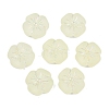 Frosted Transparent Acrylic Beads OACR-P029-19B-03-2