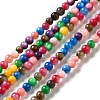 Dyed Natural Freshwater Shell Beads Strands SHEL-G014-05A-01-1