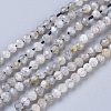 Natural Rainbow Moonstone Beads Strands G-R475-025A-1