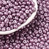 6/0 Glass Seed Beads SEED-L011-08A-29-1