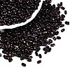 Picasso Spray Painted Glass Seed Beads SEED-T006-04-39-3