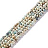 Natural Imperial Jasper Beads Strands G-L578-A03-1