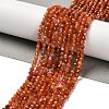 Natural South Red Agate Beads Strands G-Z074-A02-01B-1