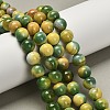 Dyed Natural Agate Beads Strands G-G203-09G-10mm-1