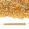 TOHO 8/0 Round Beads X-SEED-TR08-0022A-4