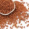 Baking Paint Glass Seed Beads SEED-L011-09A-25-1