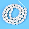 Natural Cultured Freshwater Pearl Beads Strands PEAR-T006-19B-3