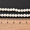 Shell Beads Strands SSHEL-E571-38-4mm-01-3