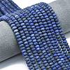 Dyed Natural Lapis Lazuli Beads Strands G-P575-A46-6x4mm-02-1