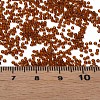 15/0 Transparent Czech Glass Seed Beads SEED-N004-004-18-6