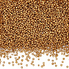 100G Glass Seed Beads SEED-SP0001-12A-01-1