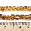 Natural Amber Beads Strands G-L095-E01-06-5
