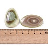 Natural Imperial Jasper Cabochons G-Q164-19-3