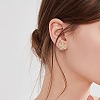 1 Pair Starfish Brass Micro Pave Clear Cubic Zirconia Studs Earrings EJEW-SZ0002-08G-7