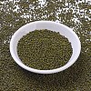 MIYUKI Round Rocailles Beads X-SEED-G010-RR4519-2