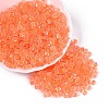 Transparent Inside Colours Glass Seed Beads SEED-T007-11F-3