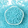 6/0 Luminous Glass Seed Beads SEED-NH0001-01N-3