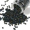 TOHO 6/0 Round Beads SEED-TR06-0084-1
