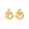 Brass Micro Pave Cubic Zirconia Charms KK-L208-10G-04-2