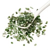 Natural Jade Beads Chip Beads X-G-Q193-06C-1