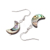 Natural Abalone Shell/Paua Shell Dangle Earring EJEW-JE05916-02-4