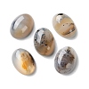 Natural Dendritic Agate Cabochons G-B138-02A-1