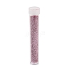 Plastic Glitter Powder Fillers AJEW-H144-01D-2