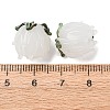 Handmade Lampwork Beads LS-LAMP-F041-02F-4