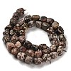 Natural Leopard Skin Jasper Beads Strands G-P497-01E-93-3