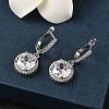 925 Sterling Silver Micro Pave Cubic Zirconia Hoop Earrings EJEW-B147-01A-01-2