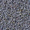 MIYUKI Round Rocailles Beads X-SEED-G007-RR4557-2