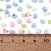 FGB Baking Paint Glass Seed Beads SEED-Q040-09A-M01-4